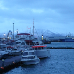 reykjavik harbour
