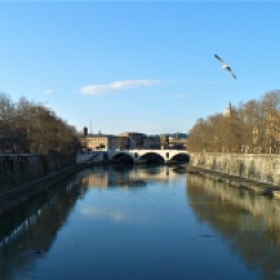 rome river