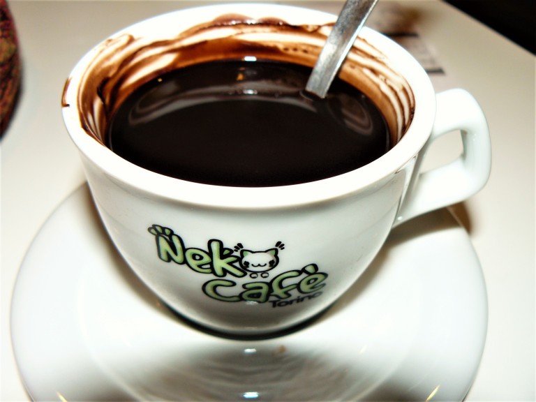 turin-cat-cafe-hot-chocolate