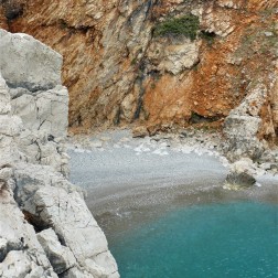 Montenegro dead goat beach