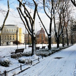Wroclaw winter