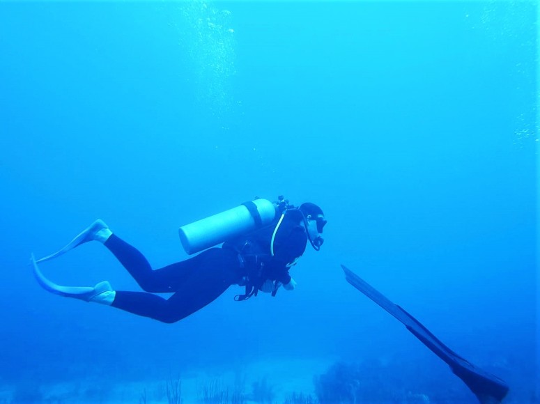 Belize Caye Caulker Diving 32