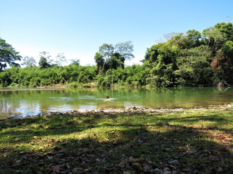Belize San Ignacio River Me 2